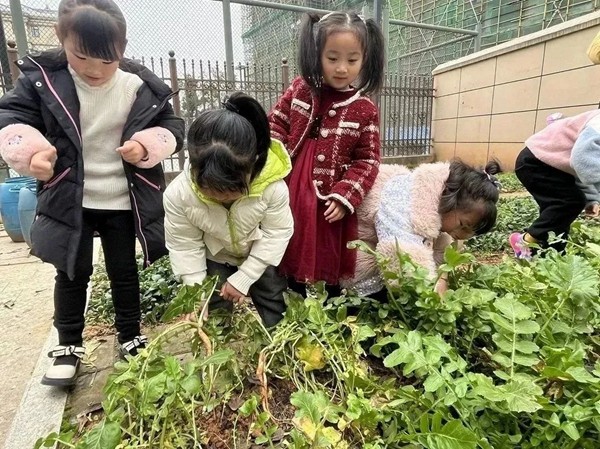 微信圖片_20230329171400.jpg
